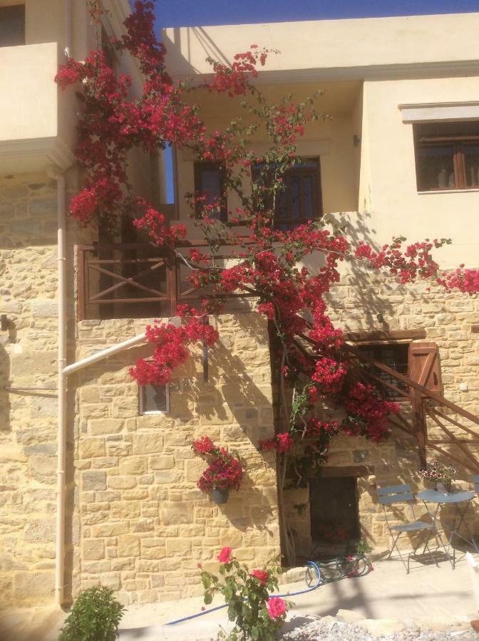 Villa Kritikies Kydonia à Pitsidia Extérieur photo